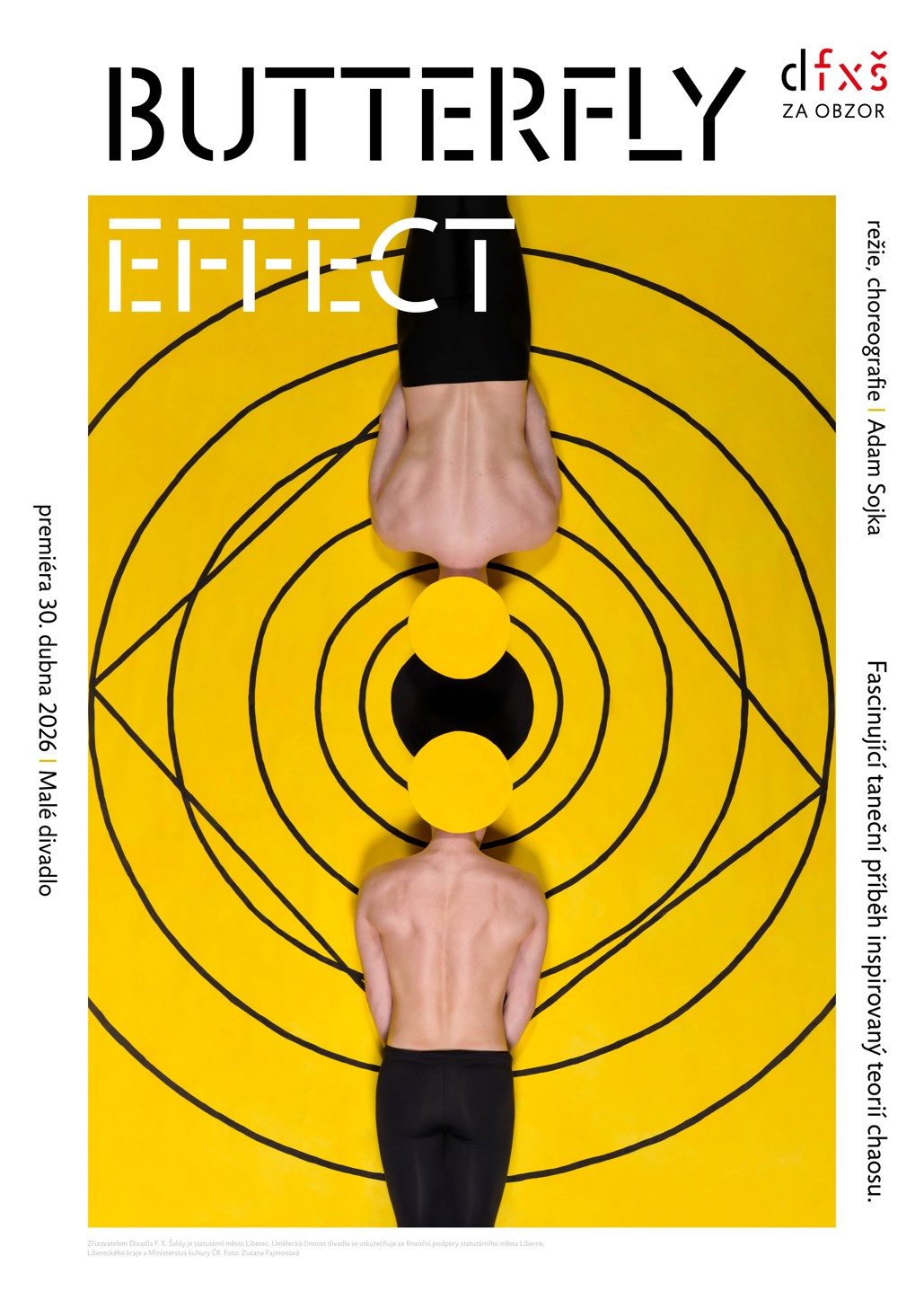 plakat_fx_saldy_butterfly_effect_zuzana_fajmonova